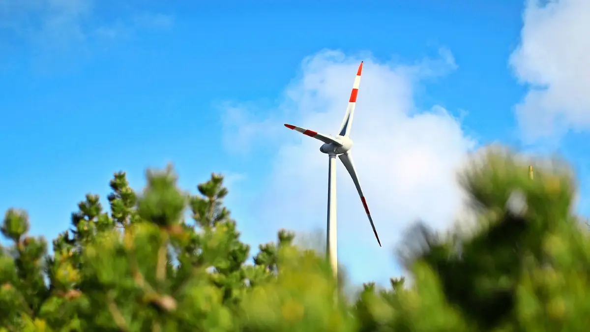 ARCHIV - 20.04.2021, Baden-Württemberg, Seebach: Auf der Hornisgrinde im Nordschwarzwald steht ein Windrad. Im Vordergrund ist ein Teil der Vegetation des Hochmoores zu sehen. (zu dpa: «Rotorblatt von Windrad abgebrochen») Foto: Uli Deck/dpa +++ dpa-Bildfunk +++