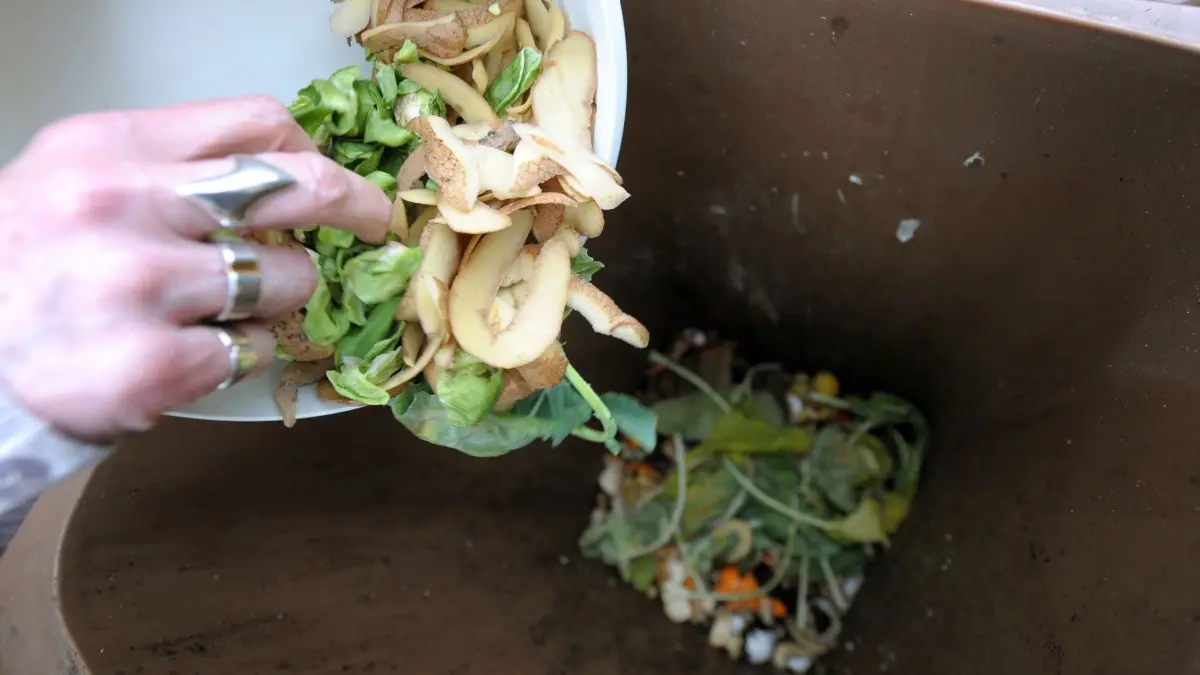 Biomüll sollte ohne Plastiktüte in die Biotonne kommen — selbst wenn es sich um kompostierbare Tüten handelt. (zu dpa: „Biologisch abbaubare Müllbeutel sorgen für Ärger»)