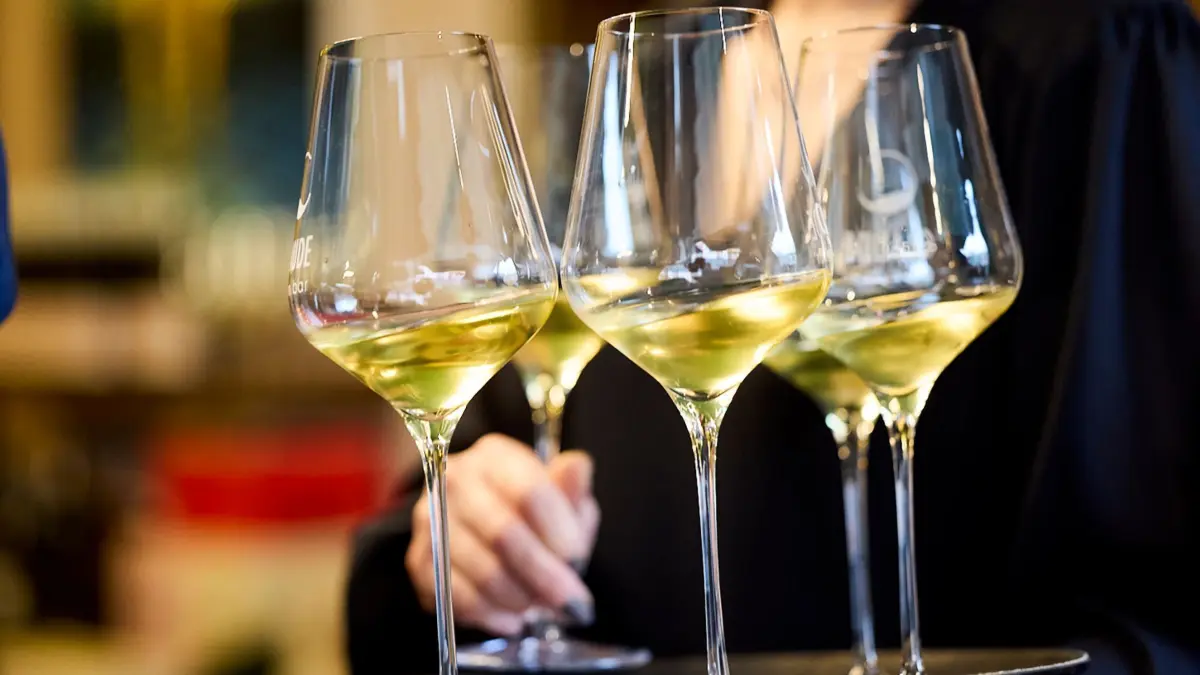 Weine aus pilzresistenten Rebsorten stehen auf der ProWein 2024 im Fokus. Das Deutsche Weininstitut (DWI) wird auf der Messe die drei „Best of PIWI“ küren.