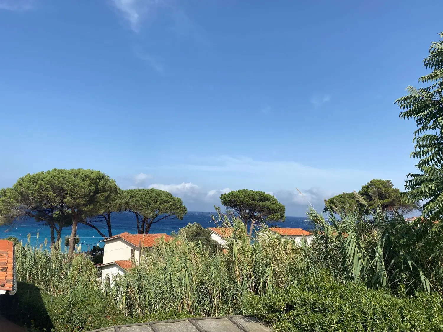 Ein Blick auf das Mittelmeer. Die Saison auf der Insel Elba geht von April bis Oktober. Vor allem deutsche und italienische Touristen schätzen die Ruhe an den Stränden und auf den Bergen.