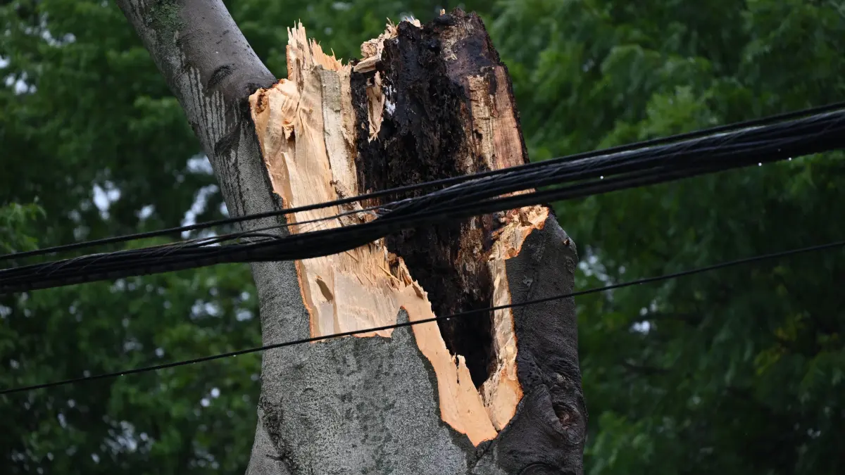 Severe Weather Causes Tree To Damage Home And A Fence With Power Lines Destroyed In Hillsdale New Jersey A large tree is: Severe Weather Causes Tree To Damage Home And A Fence With Power Lines Destroyed In Hillsdale New Jersey A large tree is damaging a fence, causing power lines to come down, and causing severe damage to a home during severe weather impacting the northeastern United States in Hillsdale, New Jersey, United States, on August 9, 2024. Damage is being seen in the area during remnants of Tropical Storm Debby and other rainstorms during the week in the area of Liberty Avenue and Kinderkamack Rd. Hillsdale United States PUBLICATIONxNOTxINxFRA Copyright: xKylexMazzax originalFilename: mazza-notitle240810_np13W.jpg