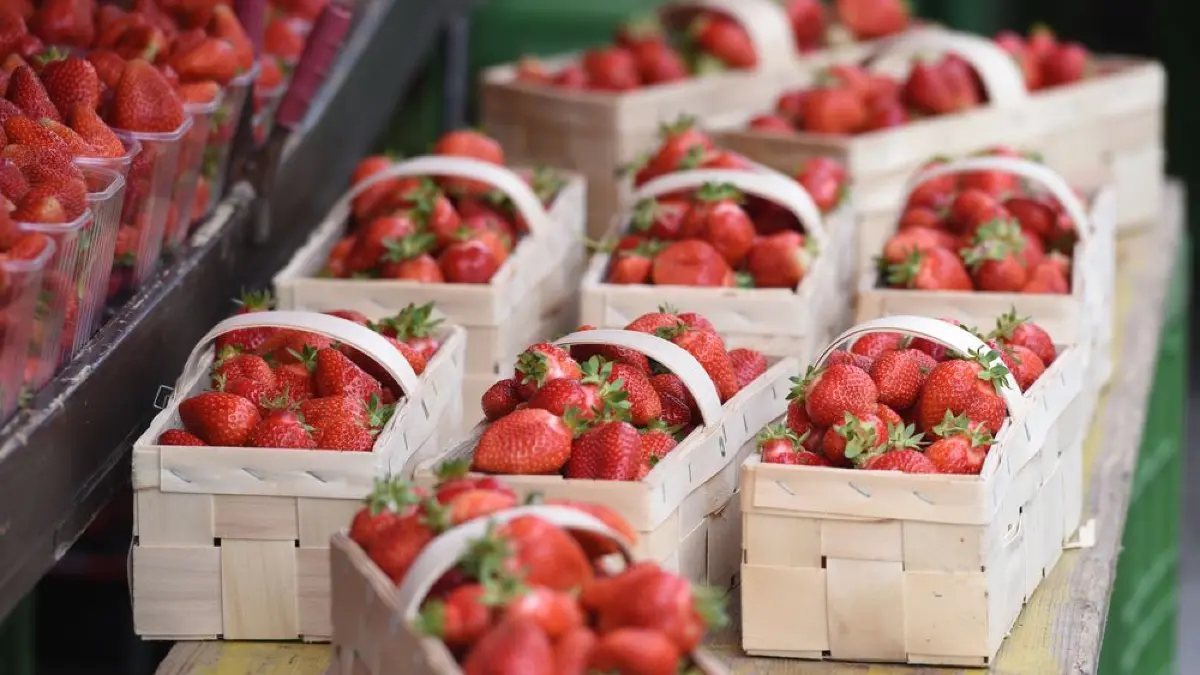PR Advertorial SEO Themenwelt Showrom Das Lifestyle Magazin Wochenmärkte in Böblingen Erdbeeren 2024 KW42
