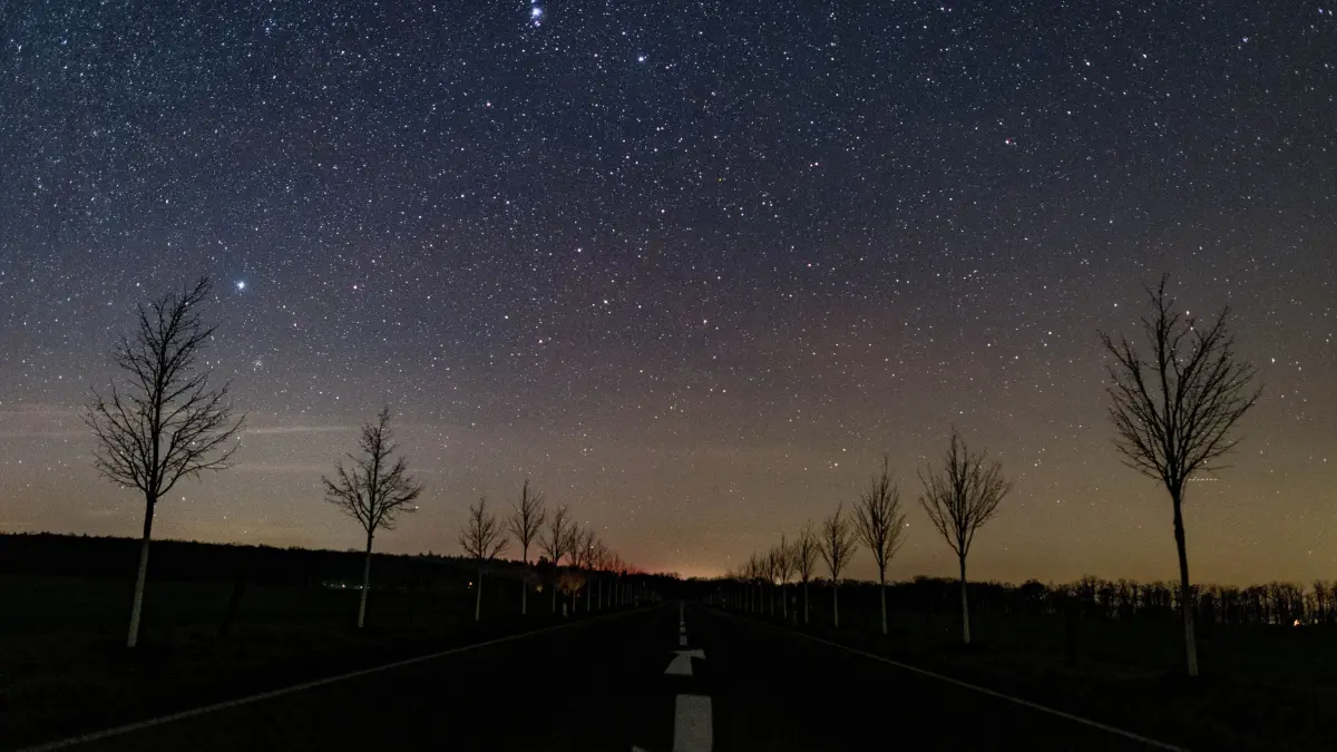 Blick auf einen kleinen Teil der Milchstraße am nächtlichen Sternenhimmel über einer Straße im Landkreis Märkisch-Oderland. (zu dpa «Sonne, Mond und Sterne im Januar - Sternschnuppen gleich zu Beginn») +++ dpa-Bildfunk +++