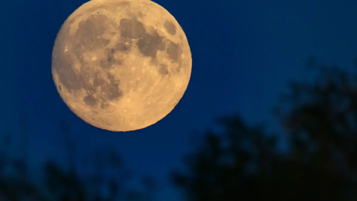 Der zu 99 Prozent sichtbare und zunehmende Mond leuchtet am Abendhimmel über dem östlichen Brandenburg. (zu dpa: «Der Mond ist ein bisschen älter als gedacht») +++ dpa-Bildfunk +++