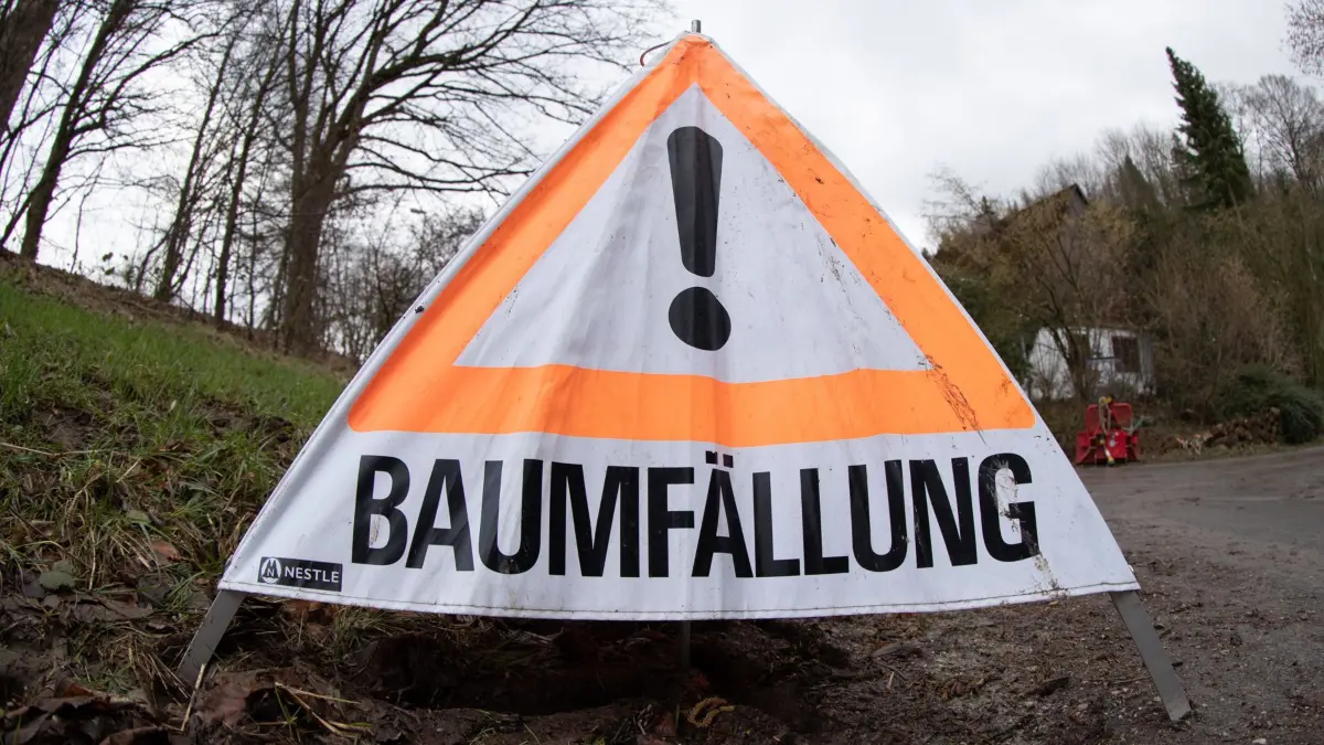 «Baumfällung» steht auf einem Aufsteller. Sturmtief «Zeynep» war teils mit Orkanstärke über Teile Deutschlands gezogen. Behörden mahnen weiter zur Vorsicht. +++ dpa-Bildfunk +++