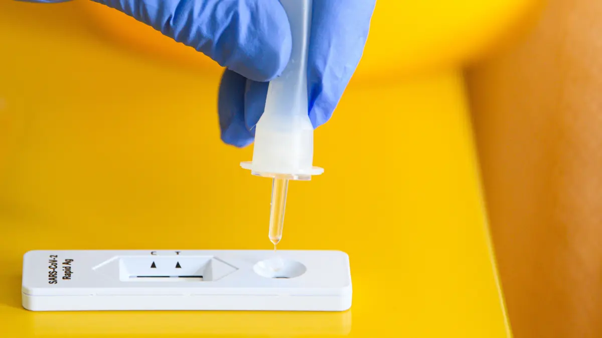 Coronatest 2025
