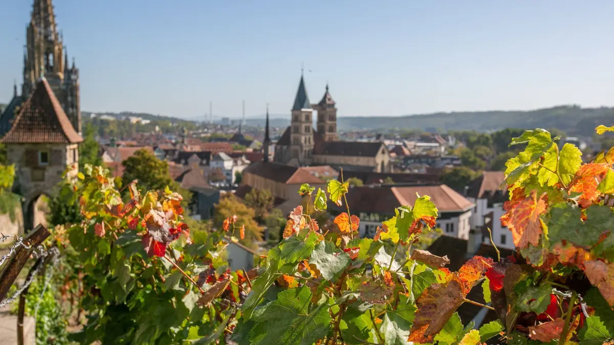 foto: Roberto Bulgrin
11. 10. 2023
Esslingen, Herbst, Frauenkirche