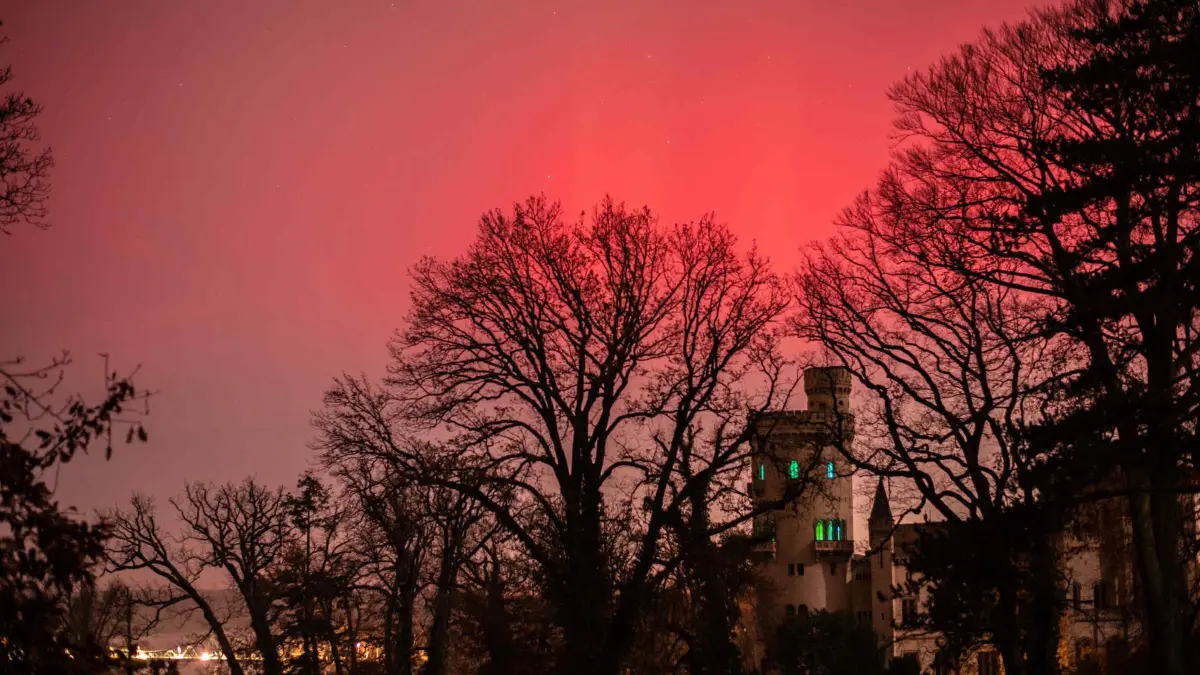 Polarlichter über Potsdam am 12.11.2025 3:00 Uhr