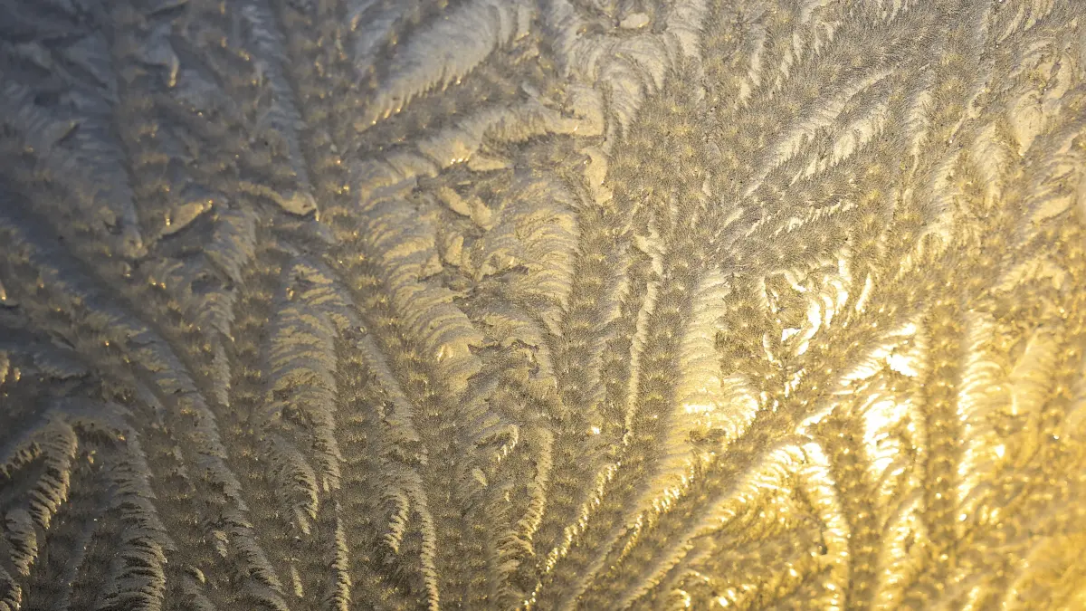 Eisblumen haben sich am Morgen an einem Dachfenster gebildet. In der vergangenen Nacht sanken die Temperaturen vielerorts bis zum Gefrierpunkt. Eisige Kristalle ranken sich auf dem Fensterglas. (zu dpa: «Glätte und Schnee - Frühwinter im Spätherbst») +++ dpa-Bildfunk +++