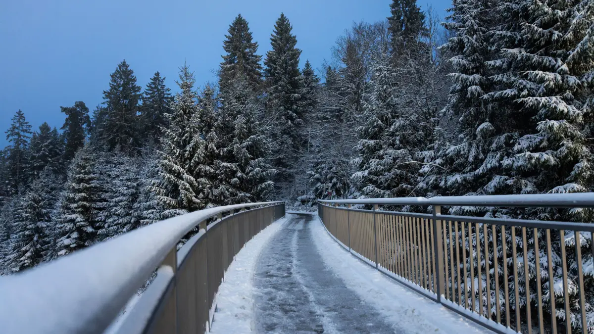 Schnee liegt auf einer Fußgängerbrücke auf dem Kniebis bei Freudenstadt. Im Schwarzwald werden bis zu 20 Zentimeter Neuschnee erwartet. +++ dpa-Bildfunk +++