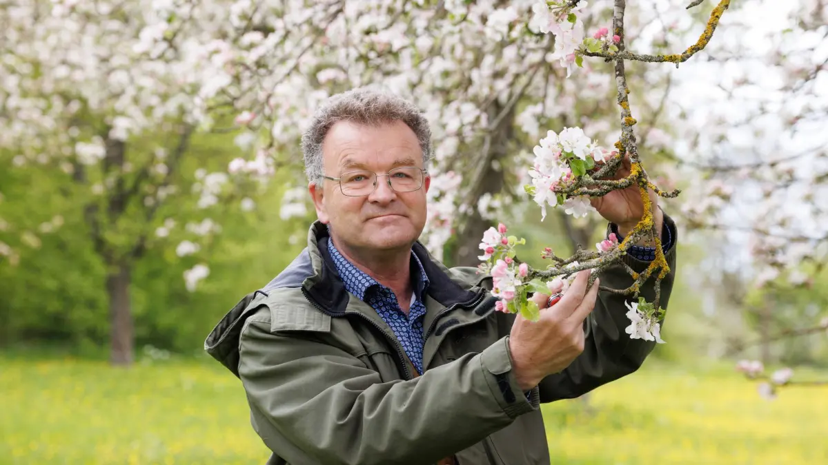 Rohrau, Was haben die Frostnächste mit der Obstblüte gemacht? Wie groß ist der Schaden und ist mit Ernteausfällen zu rechnen? (Spoiler: Es ist glimpflich verlaufen.) Nachfrage bei Manfred Nuber, dem Fachberater für Obst- und Gartenbau im Landkreis BB.