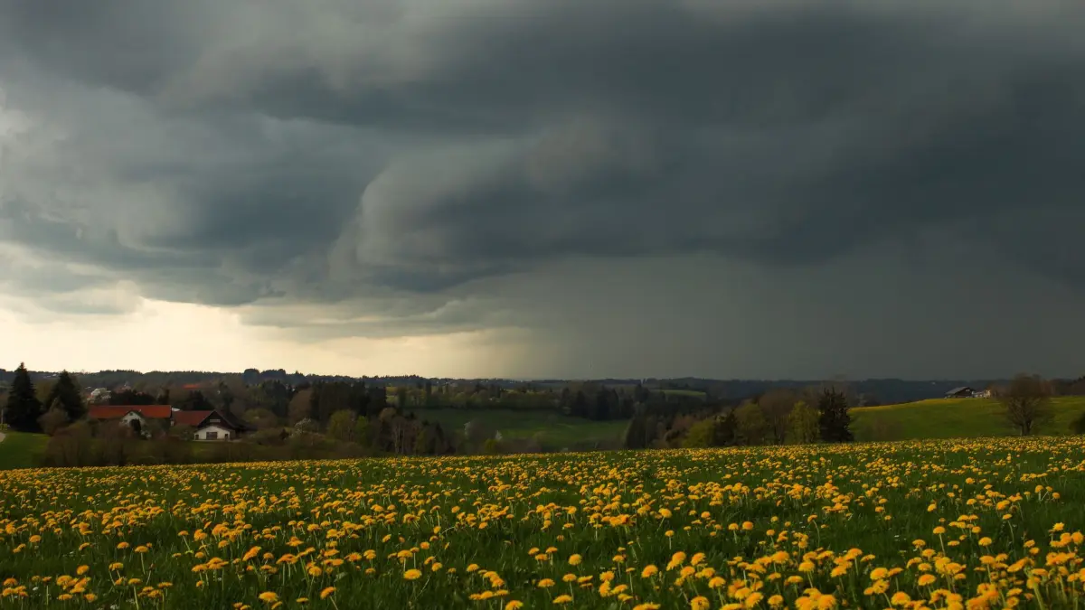 Dunkle Wolken in Bayern: ARCHIV - 19.04.2026, Bayern, Marktoberdorf: Dunkle Gewitterwolken ziehen schwer und bedrohlich über die weiten Felder im Landkreis Ostallgäu auf und tauchen die Landschaft in ein unheimliches, gedämpftes Licht. (zu dpa: «Kräftige Gewitter und Hagel drohen am Wochenende in Bayern») Foto: Alexander Wolf/onw-images/dpa +++ dpa-Bildfunk +++