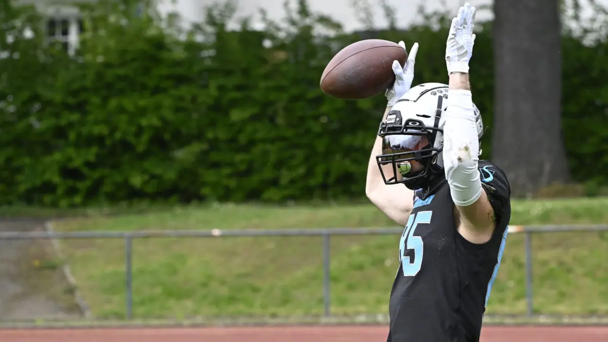 Kornwestheim Cougars - Ludwigsburg Bulldogs; American Football, Oberliga BaWü;
Cougars (schwarz):: Touch Down durch Tim Beutenmüller (85)