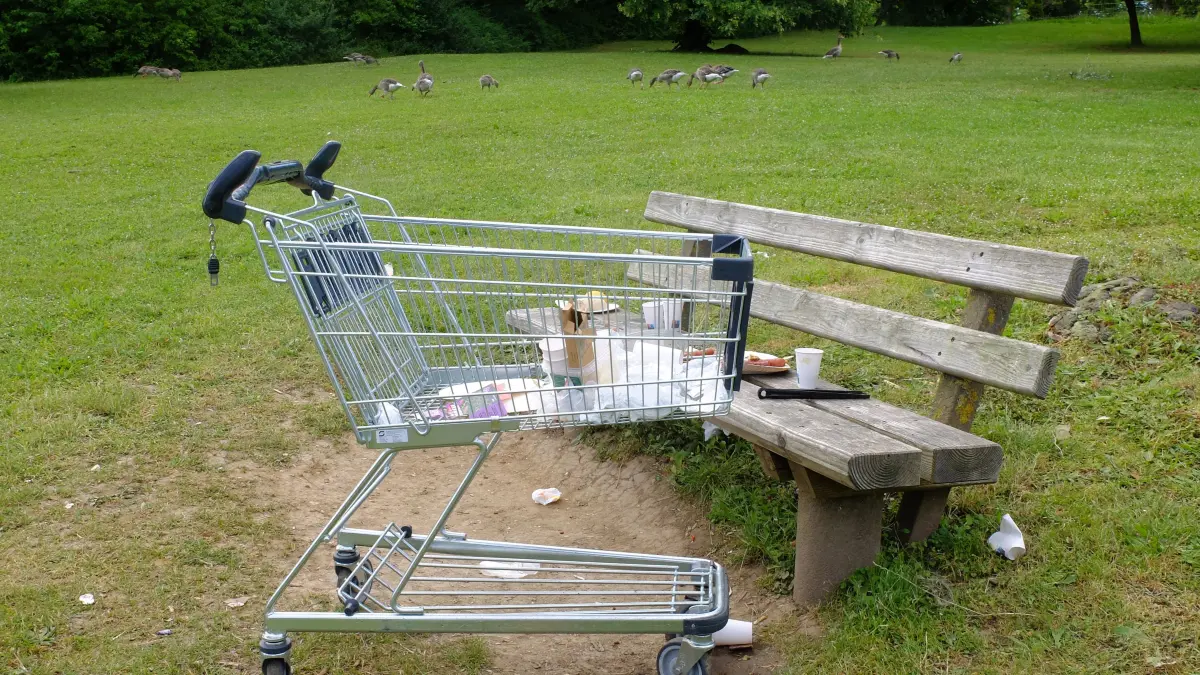 Grillreste: Müll, Einkaufswagen und Essensreste am Max-Eyth-See. Dahinter Gänse, die grasen.