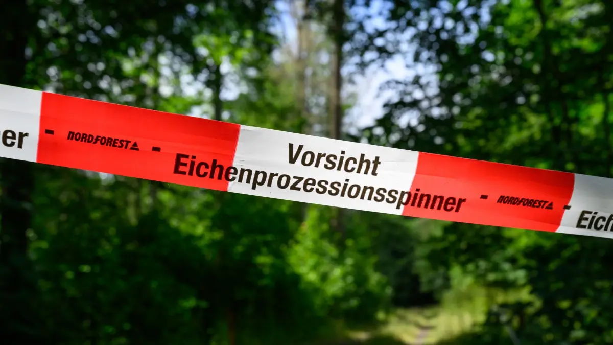 Eichenprozessionsspinner