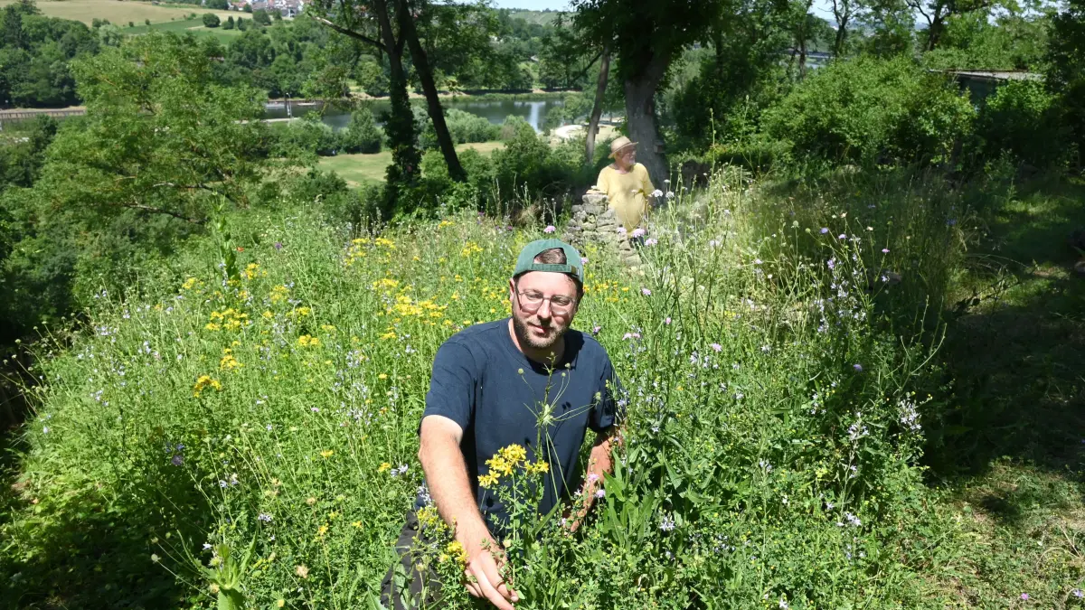 Naturgarten Marbach
Kraft