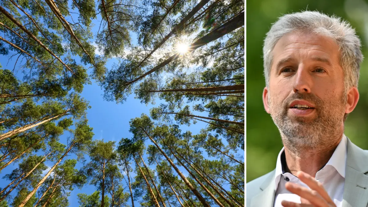 Wald und Boris Palmer, OB von Tübingen.