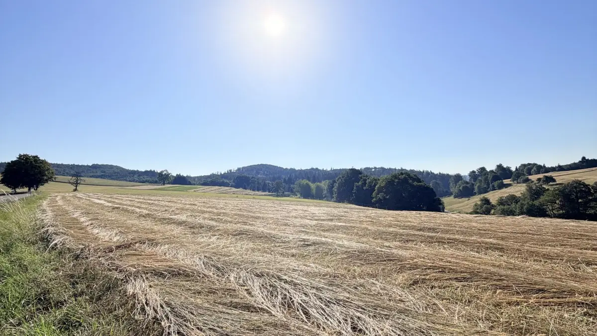 Hitze auf den Höhen des Schwäbischen Waldes bei Prevorst