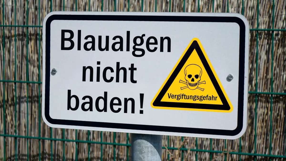 Ein Schild warnt an einem See in Baden-Württemberg wegen giftigen Blaualgen vor dem Baden.