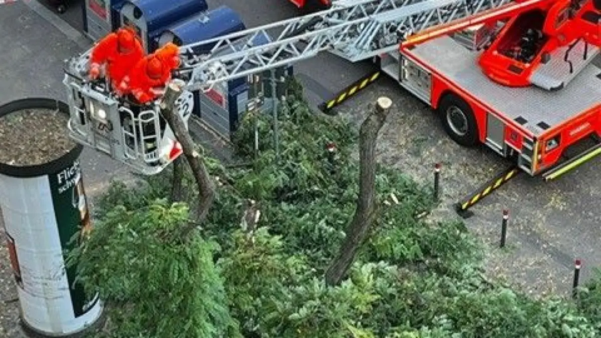 Feuerwehr fällt Baum in der Kronprinzstraße