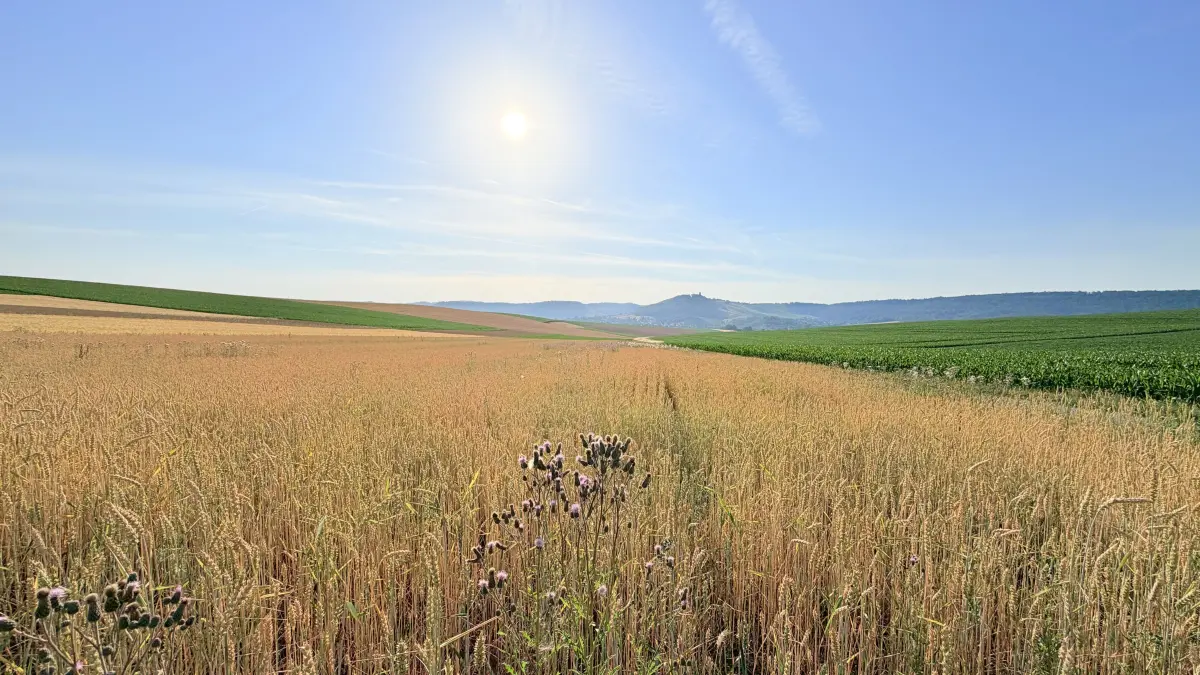 Es bleibt sommerlich im Bottwartal.