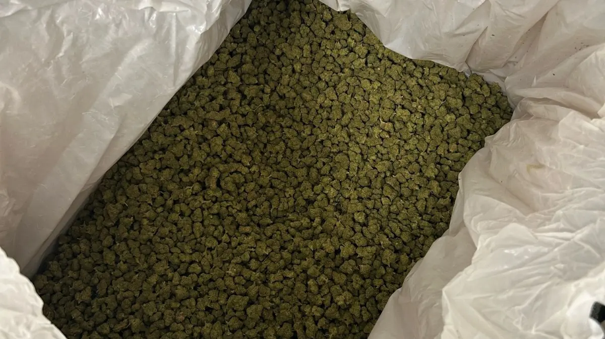 Fund von 25 Kilogramm Marihuana in einem Paketzentrum im Kreis Esslingen am 1. Juli 2026