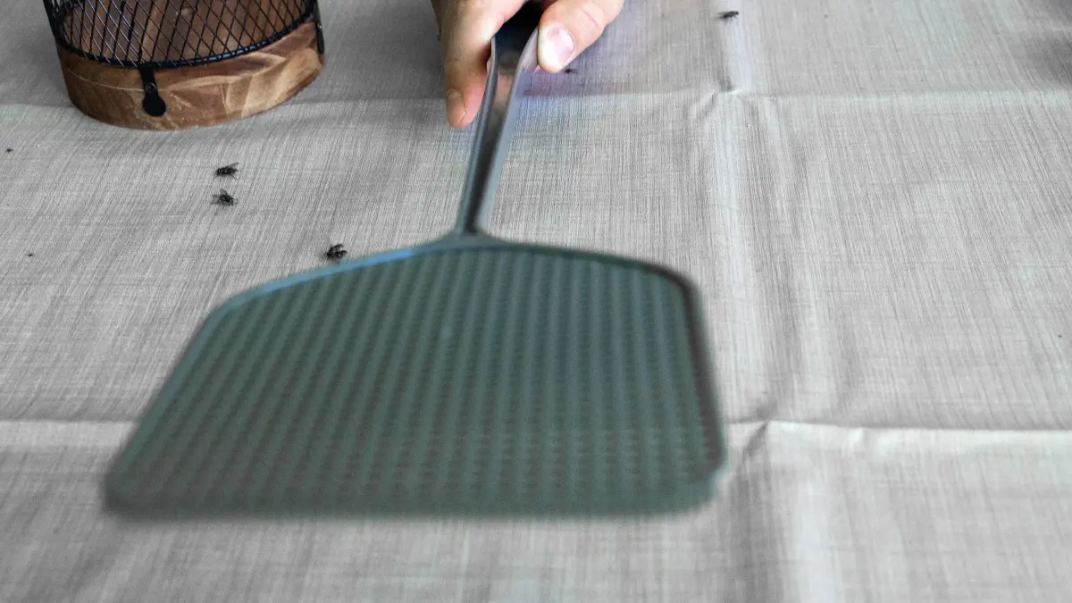 Bavaria, Germany - June 29, 2025: A person swats at buzzing flies with a fly swatter - a quick reaction against annoying insects and part of simple everyday pest control. *** Eine Person schlägt gezielt mit einer Fliegenklatsche nach umherschwirrenden Fliegen eine schnelle Reaktion gegen lästige Insekten und Teil einfacher Schädlingsbekämpfung im Alltag.