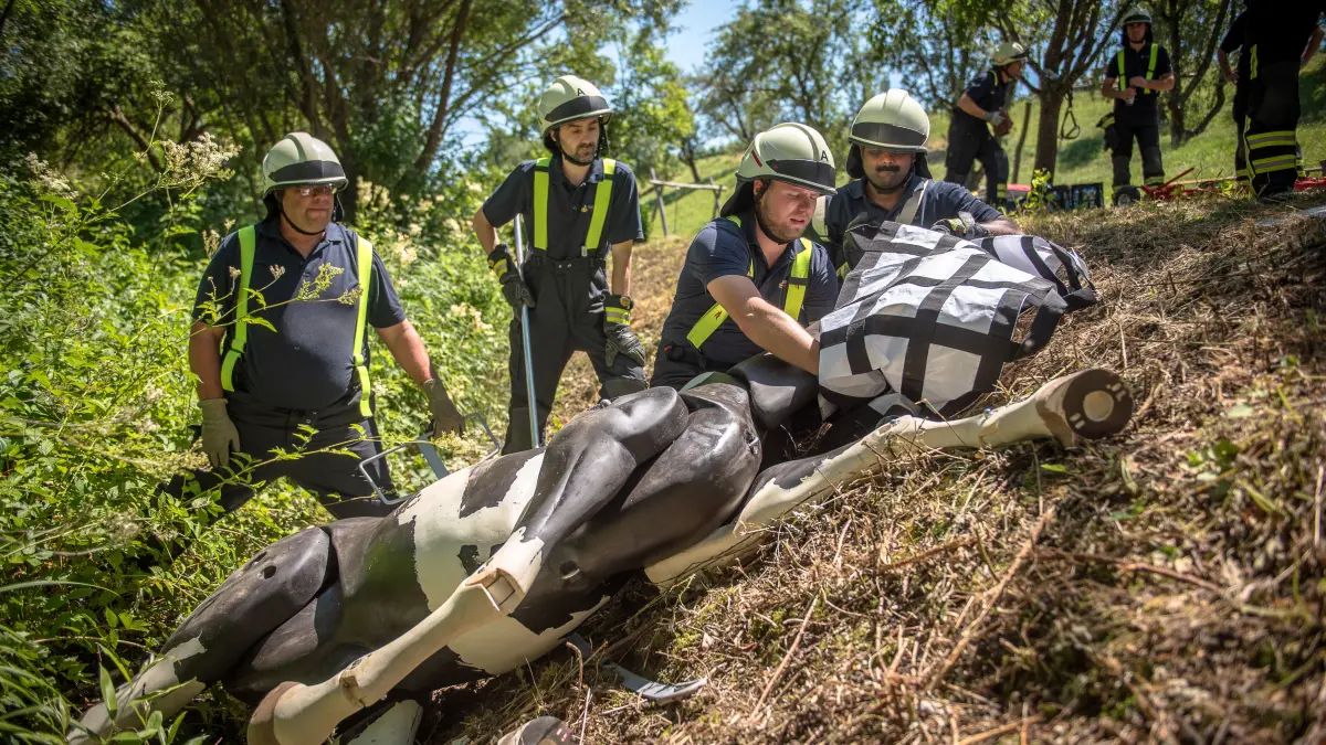 Übung, Großtierrettung, Rettung, Pferd, Dummy, Atlas, Firma Comcavalo, Freiwillige Feuerwehr Korb im Remstal, Rems-Murr-Kreis