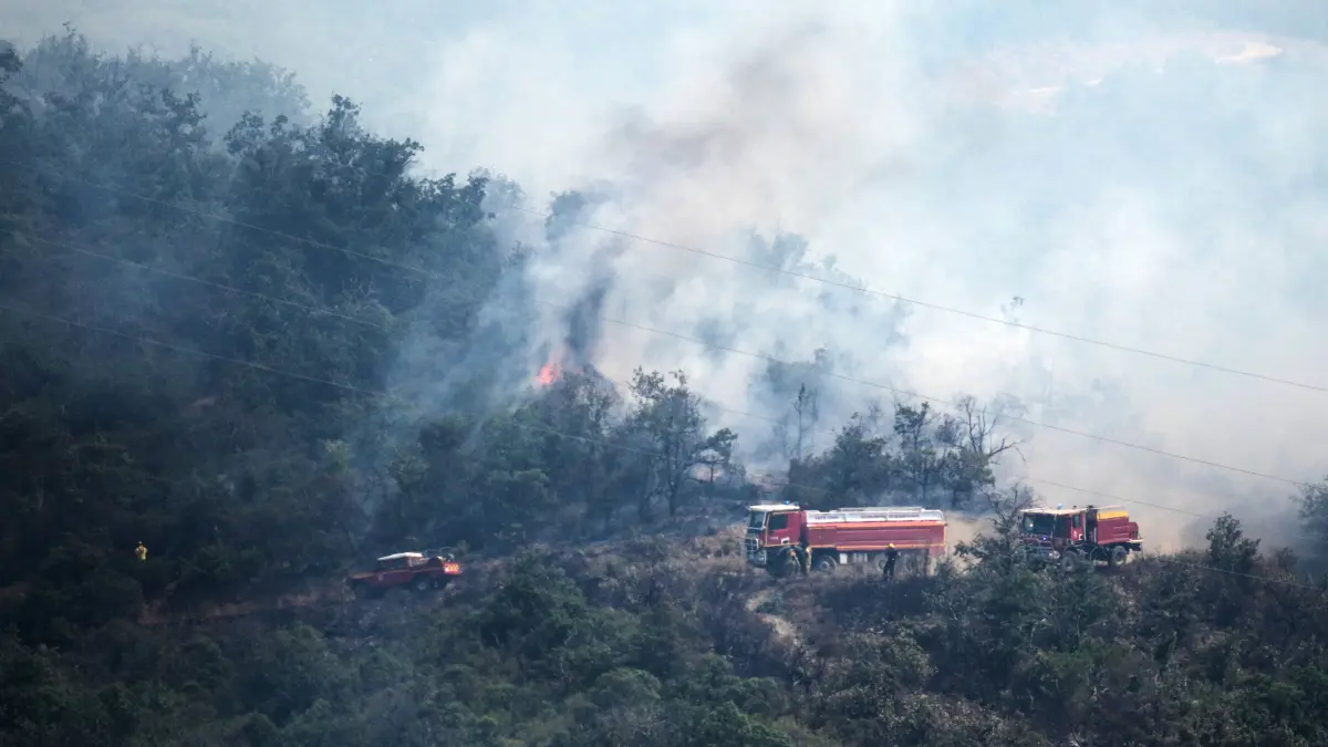 Feuerwehrleute bekämpfen einen Waldbrand in Ille-sur-Têt in Südfrankreich.