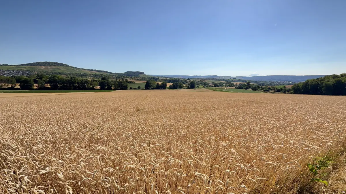Sommer im Kreis Ludwigsburg