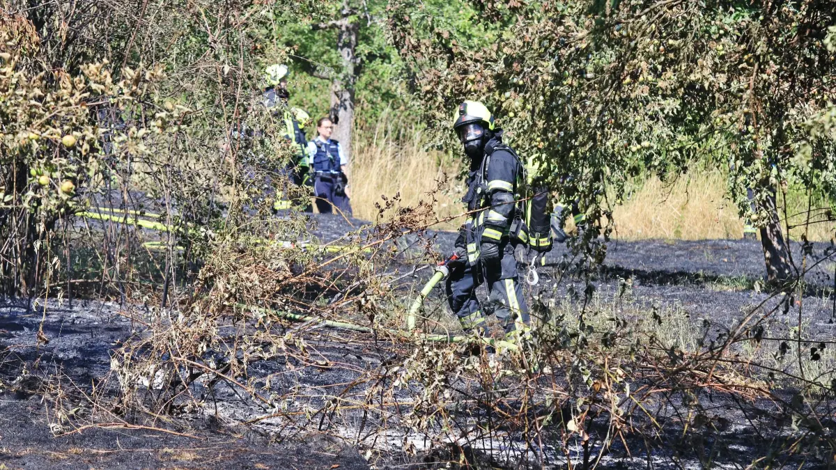 Flächenbrand Berglen
