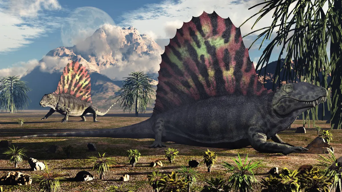 Dimetrodon (griechisch für „zwei Maße von Zähnen“) ist eine Gattung fleischfressender Pelycosaurier (früher als „säugetierähnliche Reptilien“ bezeichnet), die vor etwa 299 bis 272,5 Millionen Jahren im Cisuralium (frühes Perm) lebten.