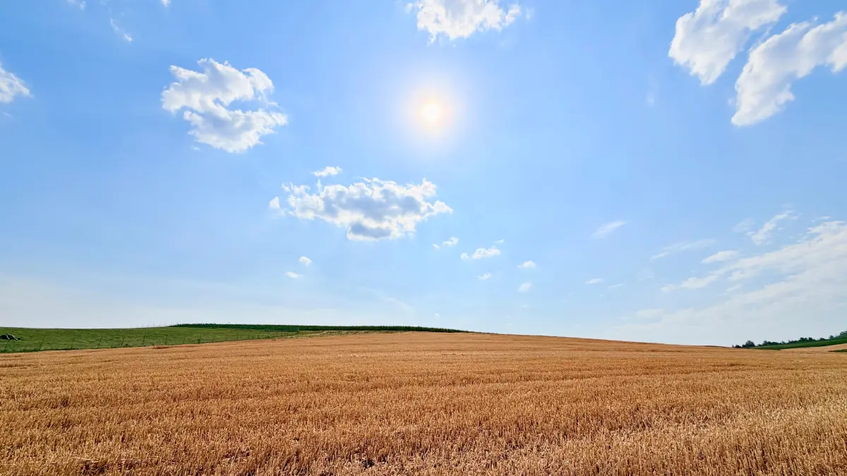 Wetter im Kreis Ludwigsburg Sommer