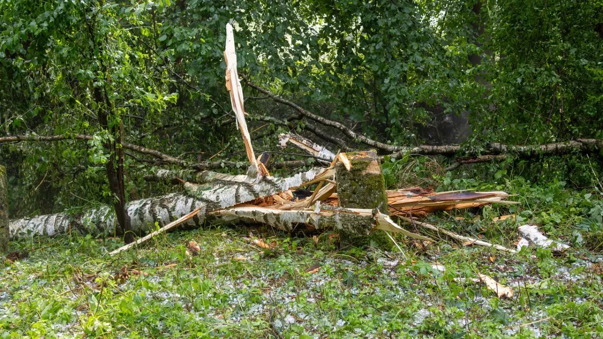 Pliezhausen Unwetter