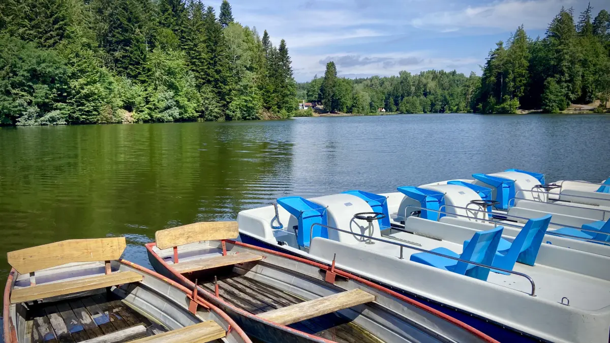 Ebnisee