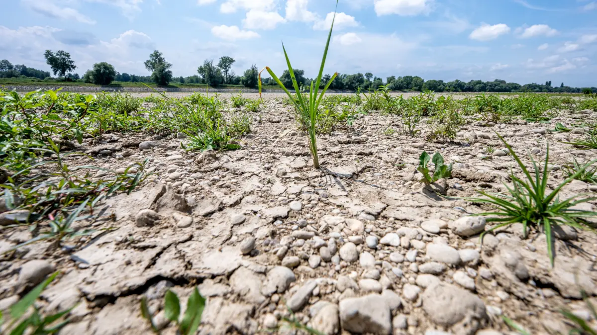 ARCHIV - 15.07.2026, Bayern, Mariaposching: Ausgetrocknet ist eine Sandbank beim bayerischen Mariaposchin an der Niedrigwasser führenden Donau.
