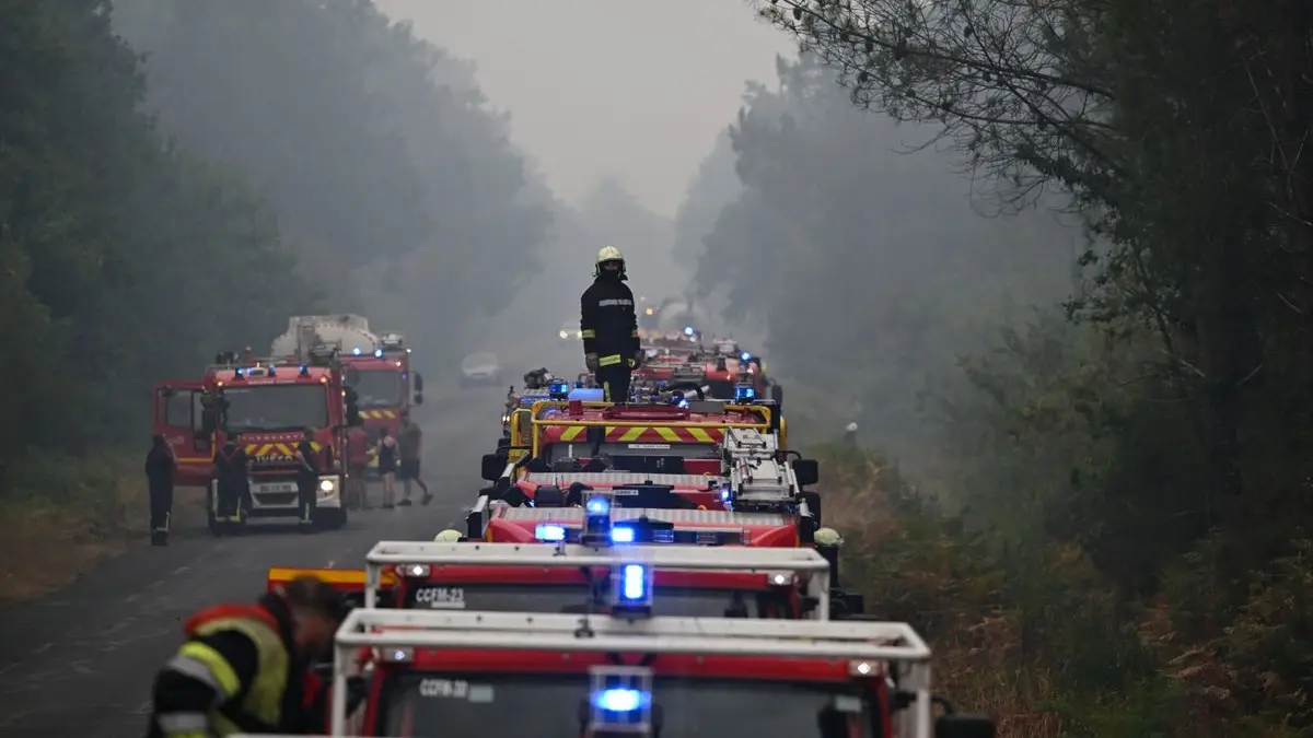Eine Gruppe von Feuerwehrwagen steht auf einer von Rauch eingehüllten Waldstraße.