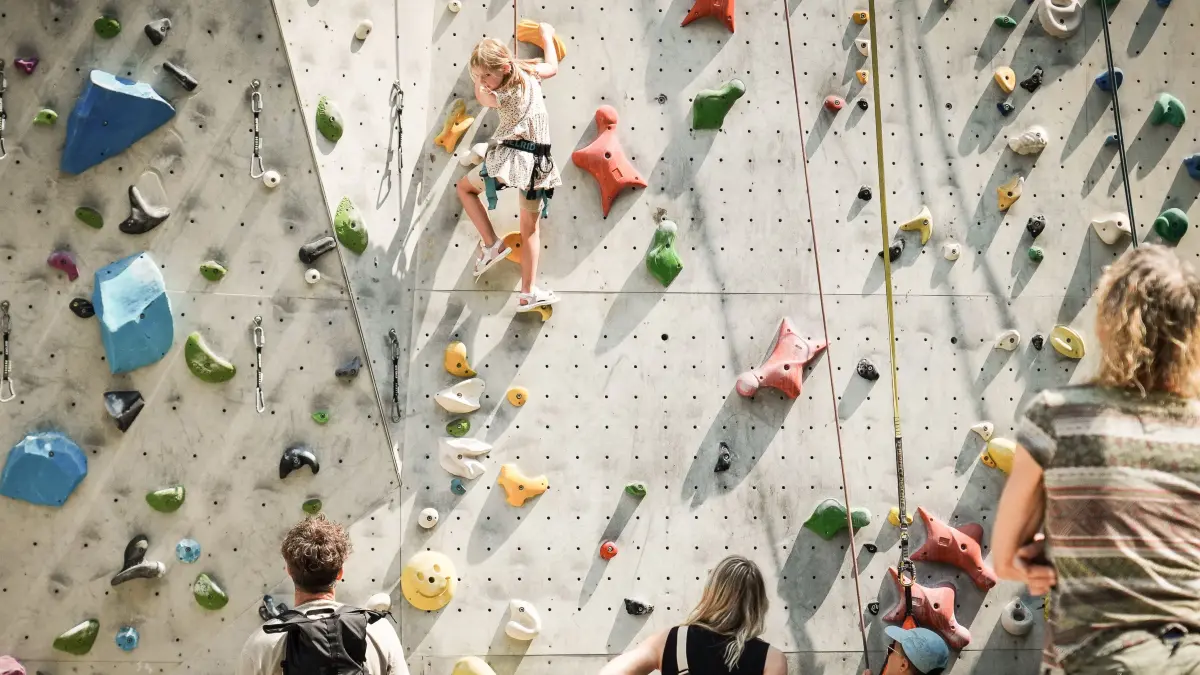 Waldau Sommer unterm Fernsehturm. Sport- und Freizeitgelände auf der Waldau in Stuttgart für die ganze Familie : Waldau Sommer unterm Fernsehturm. Sport- und Freizeitgelände auf der Waldau in Stuttgart für die ganze Familie
