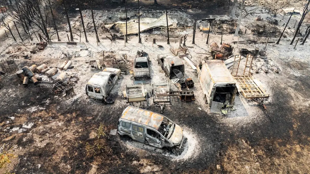 Aus der Luft sind ausgebrannte Autos nach einem Waldbrand zu sehen.