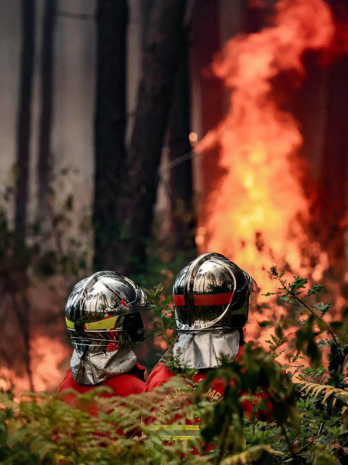 Fire in Gironde: 3,100 hectares burned between Saumos and Le Porge NEAR LEGE CAP FERRET PHOTOPQR SUD OUEST Guillaume Bonnaud GUILLAUME BONNAUD Bordeaux July 23, 2026 JULY 23, 2026 IN GIRONDE AROUND 2:30 P.M. Fire in Gironde: 3,100 hectares burned between Saumos and Le Porge NEAR LEGE CAP FERRET PH Guillaume Bonnaud Gironde, France July 23, 2026 Firefighters battle a fast-moving wildfire in Bordeaux, Gironde, France PUBLICATIONxNOTxINxFRAxBELxSUIxUK Copyright: xPHOTOPQR/SUDxOUEST/MAXPPPxGUILLAUMExBONNAUDx 20260723SDO6211 20260723SDO6211