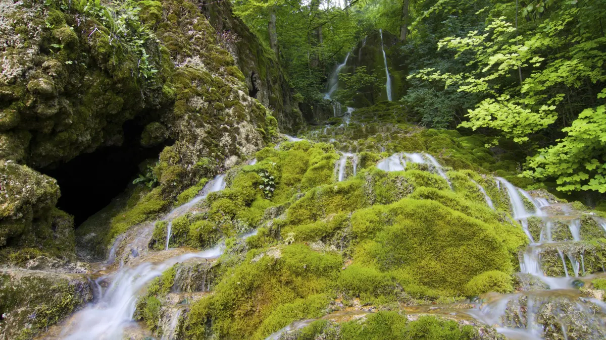 Kalktuffquelle Gütersteiner Wasserfall Güterstein limestone tufa spring waterfall Copyright: imageBROKER/SunbirdxImages iblmup13701434.jpg Bitte beachten Sie die gesetzlichen Bestimmungen des deutschen Urheberrechtes hinsichtlich der Namensnennung des Fotografen im direkten Umfeld der Veröffentlichung
