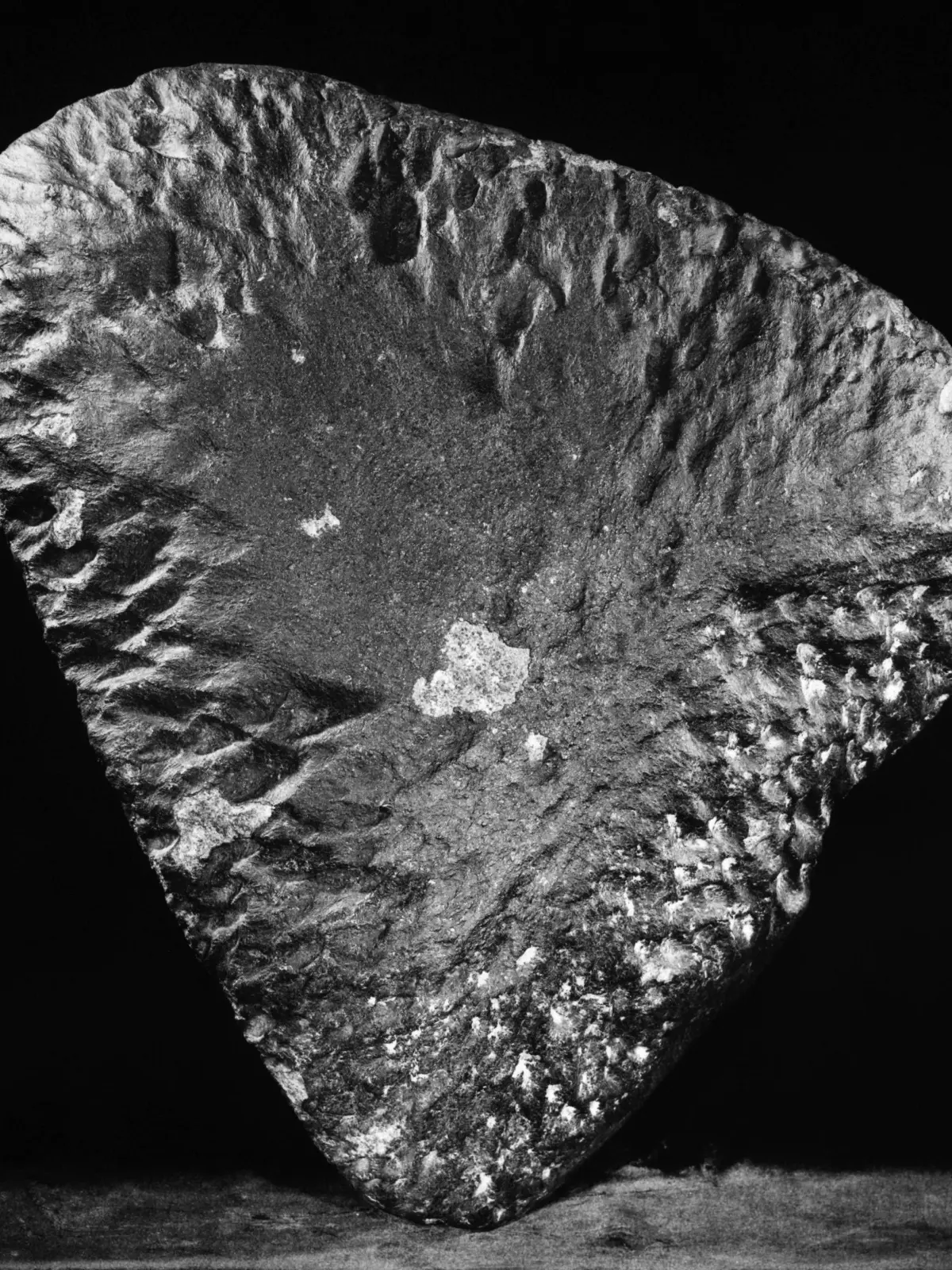 Chondrite bilden mit einem Anteil von etwa 86 Prozent die größte Klasse der Meteoriten. Ihr Name rührt von eingeschlossenen kleinen Silikatkügelchen her, den Chondren, die in eine feinkörnige Grundmasse eingebettet sind.