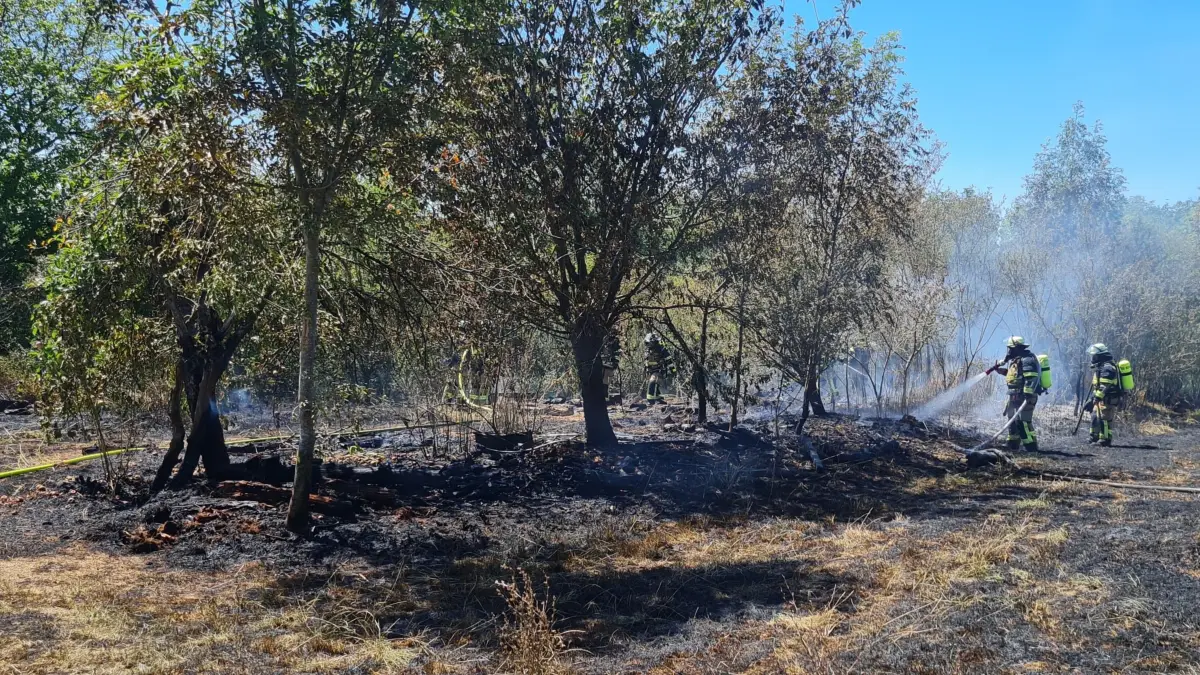 Flächenbrand zwischen Marbach und Steinheim