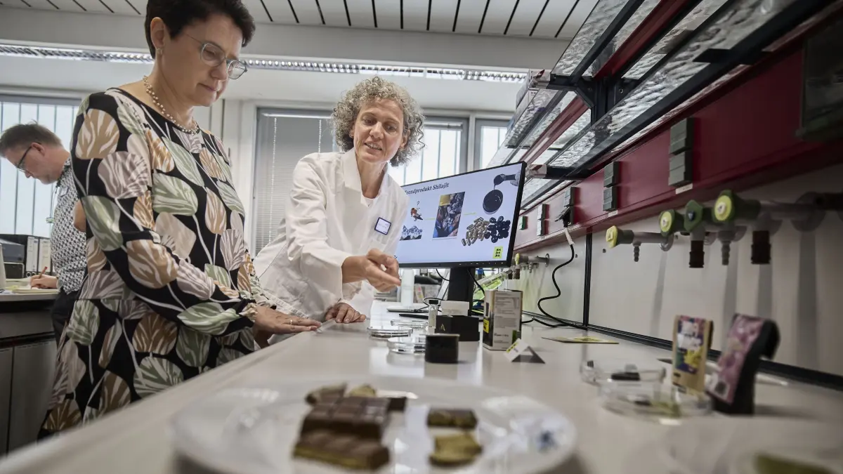 KEINEN AUSSCHNITT MACHEN Ministerin Marion Gentges beim CVUA : KEINEN AUSSCHNITT MACHEN
Fellbach, DEU, 31.07.2026
Ministerin Marion Gentges beim CVUA
No model release. Kein Einverständnis für Werbung, keine Weitergabe an Dritte.
Abgebildete Personen haben der Veröffentlichung in der STZN zugestimmt.