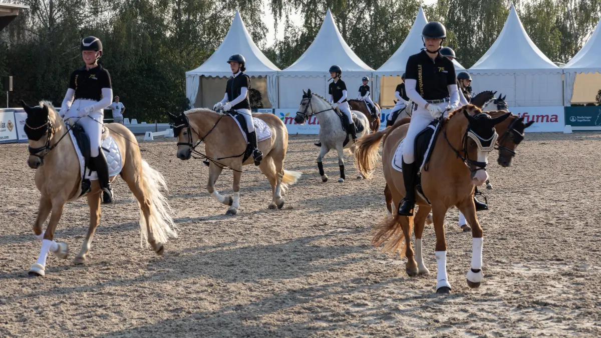 Donzdorf: Birkhof-Dressurfestival mit 40. Birkhof-Fohlenchampionat