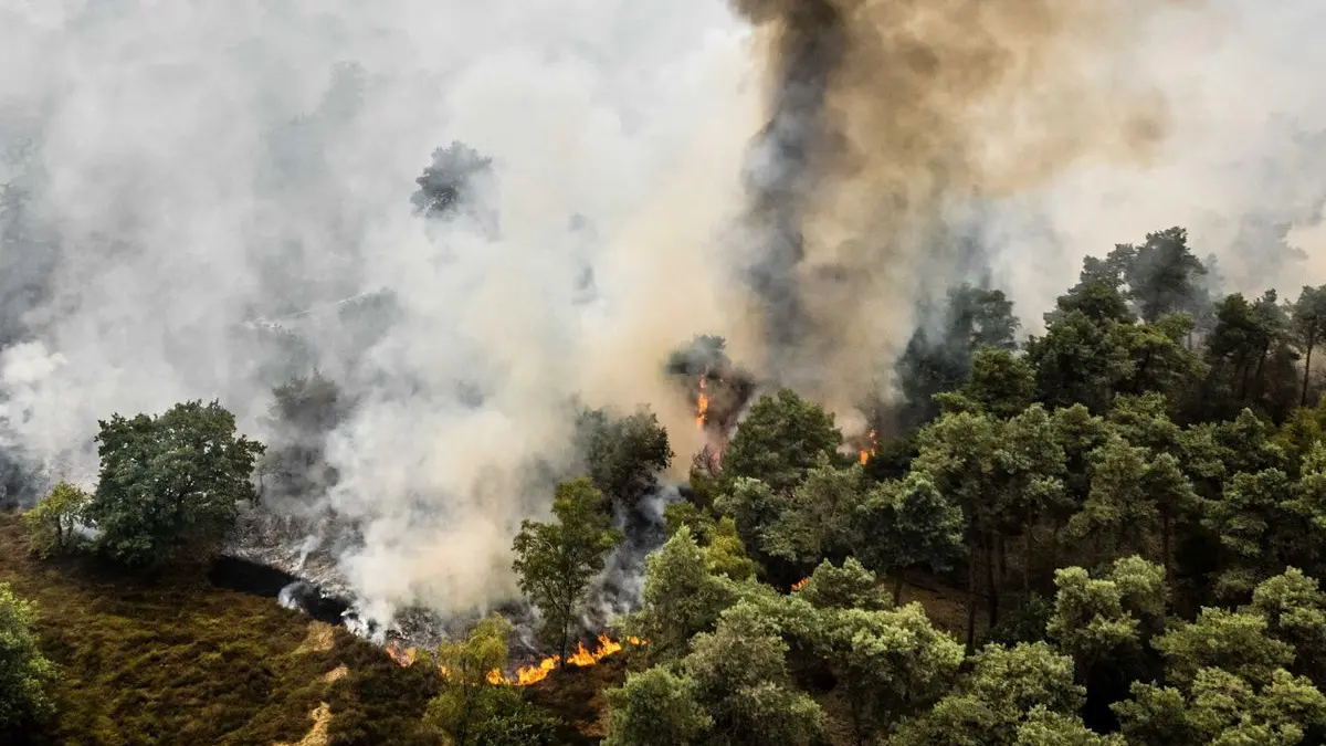 Im Naturschutzgebiet De Rosmolen wütet ein Großbrand, wie die Sicherheitsregion Limburg-Nord mitteilte. Aufgrund der anhaltenden Trockenheit konnte sich das Feuer rasant ausbreiten.