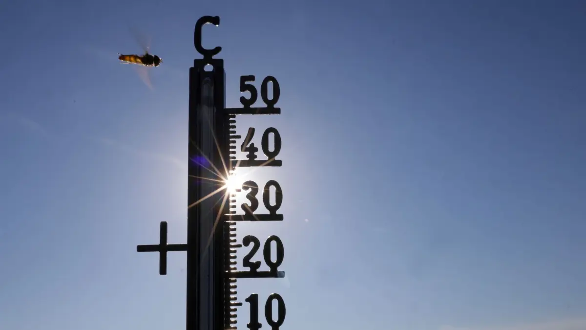 Österreich verzeichnet Rekordhitze: ARCHIV - 21.06.2026, Baden-Württemberg, Riedlingen: Die Sonne scheint hinter einem Thermometer, an dem eine Schwebefliege vorbeifliegt. (zu dpa: «Temperaturrekord für Österreich: 41 Grad») Foto: Thomas Warnack/dpa +++ dpa-Bildfunk +++
