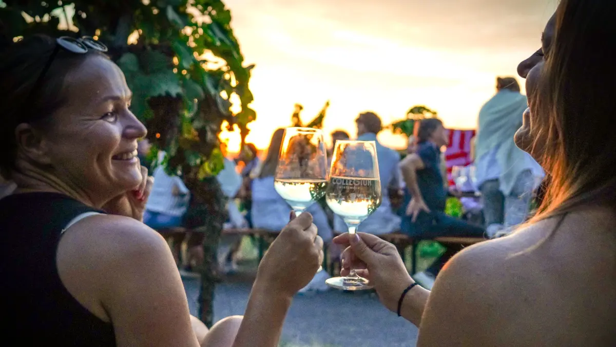 Gastro. Das Collegium Wirtemberg lädt zur Weinmeile. Hunderte Besucher genießen Wein und Sonnenuntergang in den Weinbergen mit Blick auf Stuttgart : Gastro. Das Collegium Wirtemberg lädt zur Weinmeile. Hunderte Besucher genießen Wein und Sonnenuntergang in den Weinbergen mit Blick auf Stuttgart