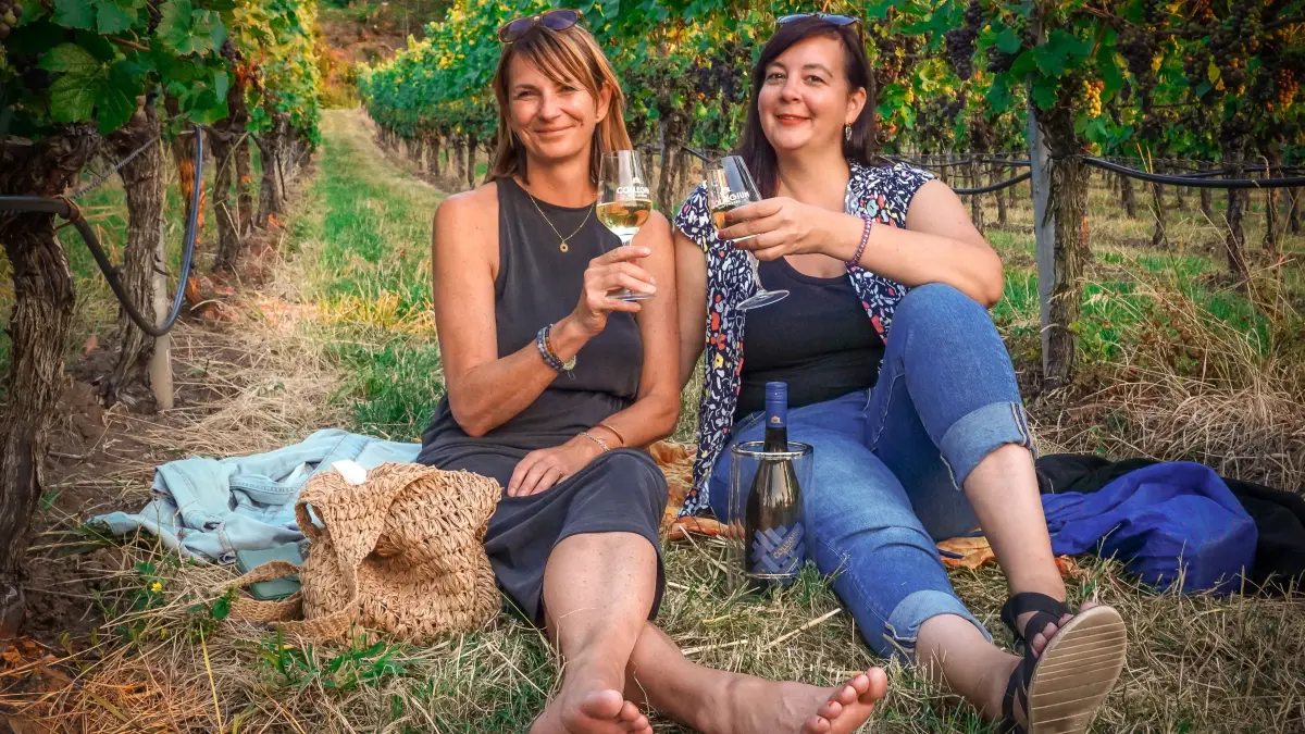 Gastro. Das Collegium Wirtemberg lädt zur Weinmeile. Hunderte Besucher genießen Wein und Sonnenuntergang in den Weinbergen mit Blick auf Stuttgart : Gastro. Das Collegium Wirtemberg lädt zur Weinmeile. Hunderte Besucher genießen Wein und Sonnenuntergang in den Weinbergen mit Blick auf Stuttgart