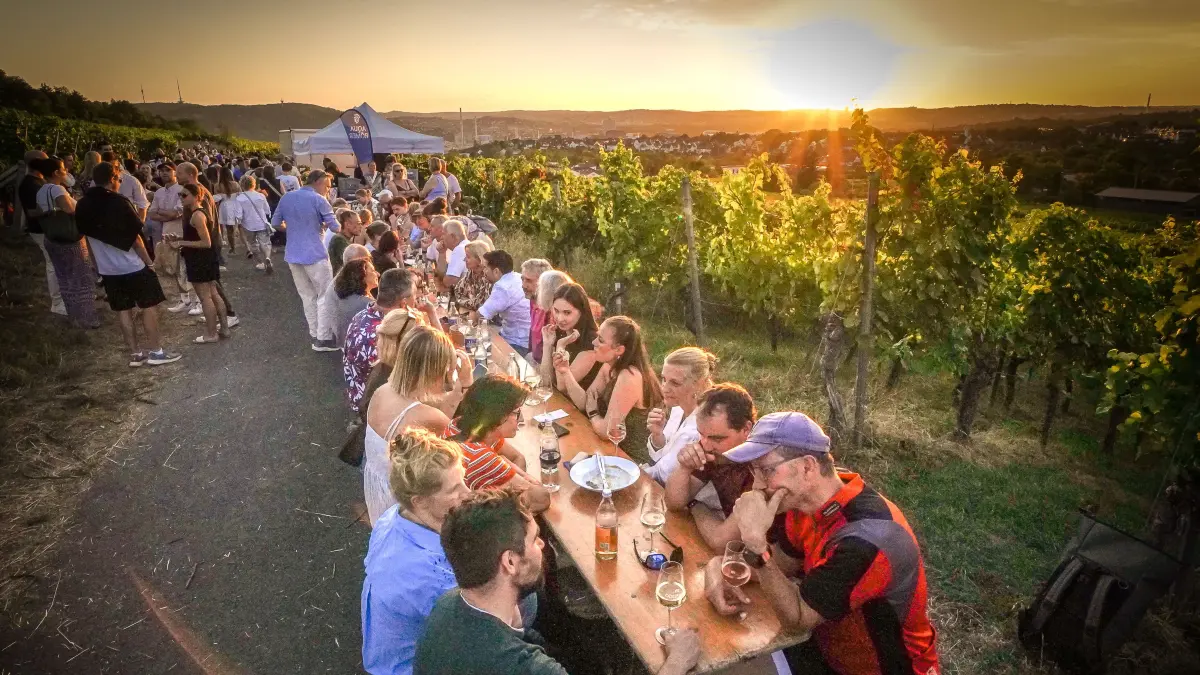 Gastro. Das Collegium Wirtemberg lädt zur Weinmeile. Hunderte Besucher genießen Wein und Sonnenuntergang in den Weinbergen mit Blick auf Stuttgart : Gastro. Das Collegium Wirtemberg lädt zur Weinmeile. Hunderte Besucher genießen Wein und Sonnenuntergang in den Weinbergen mit Blick auf Stuttgart